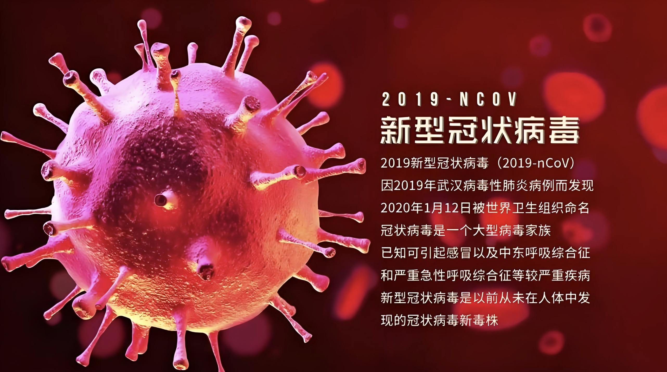 435_副本 435_副本