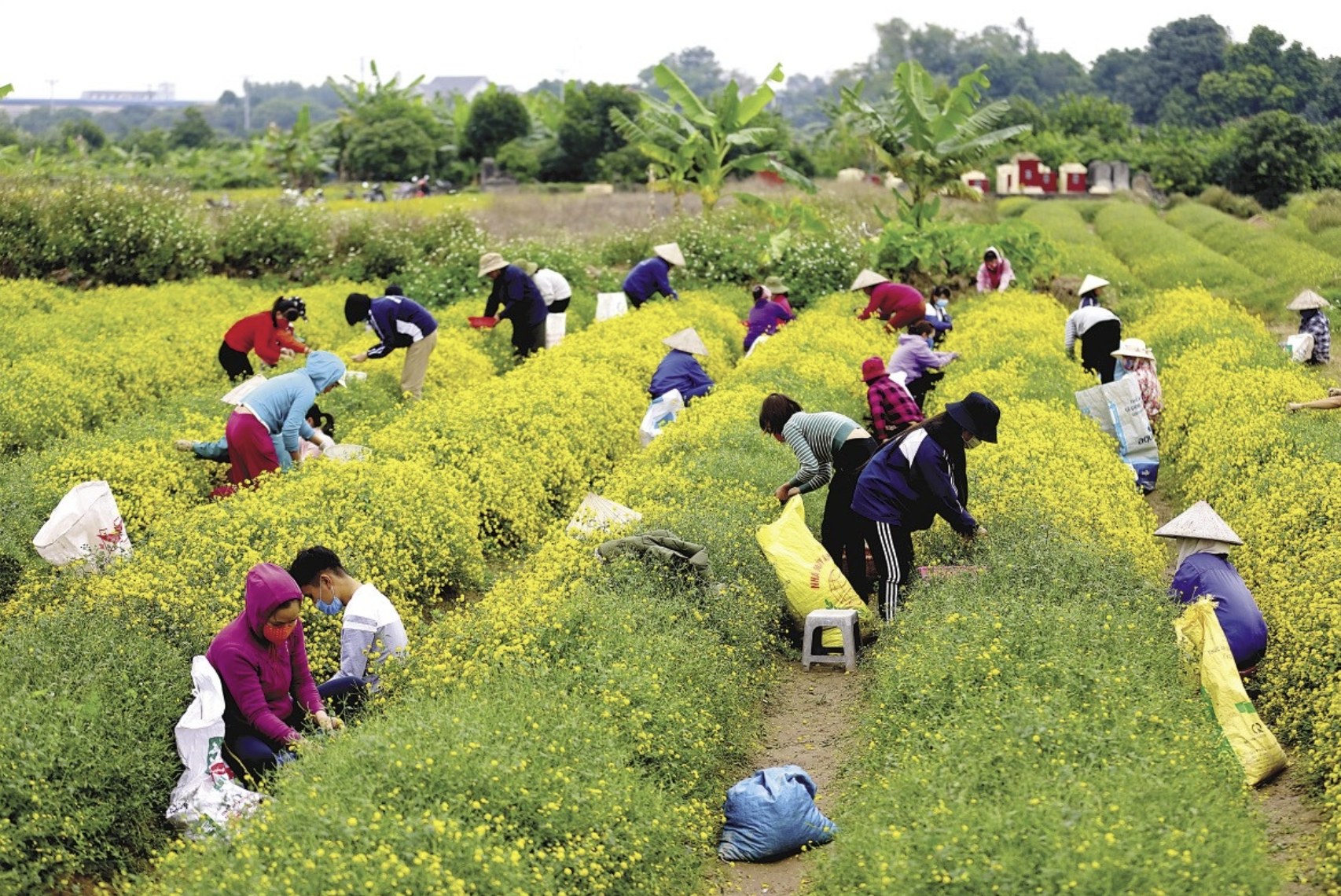 21313_副本 21313_副本